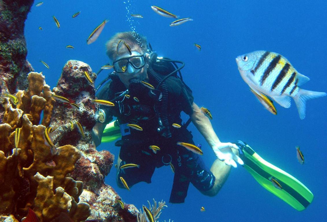 Eveyla Guesthouse Fulidhoo Εξωτερικό φωτογραφία